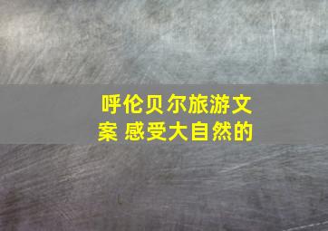 呼伦贝尔旅游文案 感受大自然的